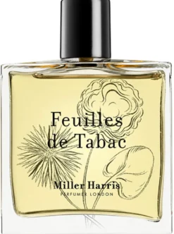 Feuilles De Tabac