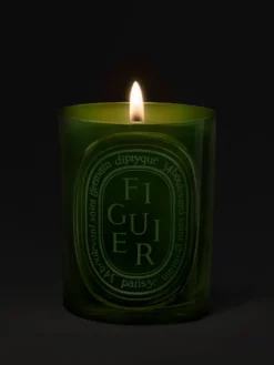 Figuier Medium candle