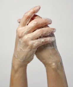 Forest Seed Gel