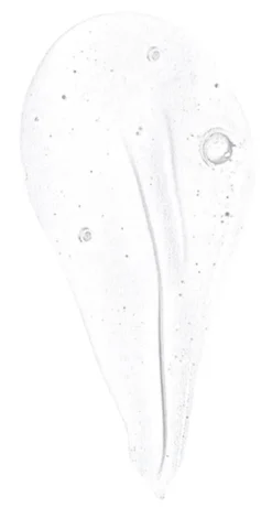 FORGET ME NOT Body Wash
