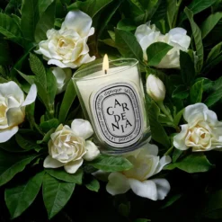 Gardenia Classic Candle