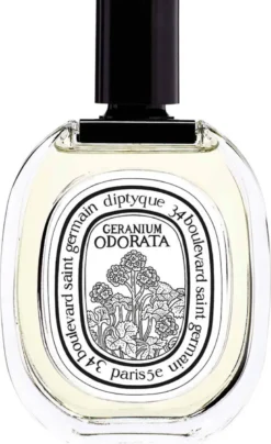 Geranium Odorata