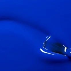 GREEN FLASH - ULTRAMARINE