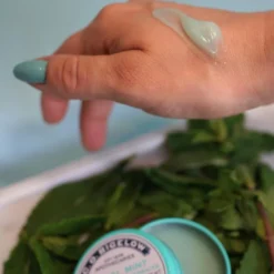 Herbal Mint Salve