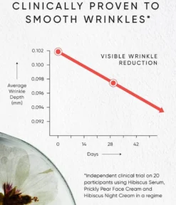 Hibiscus Rejuvenating Night Cream