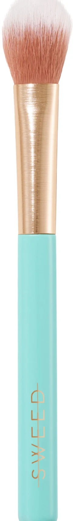 05 Highlighter Brush