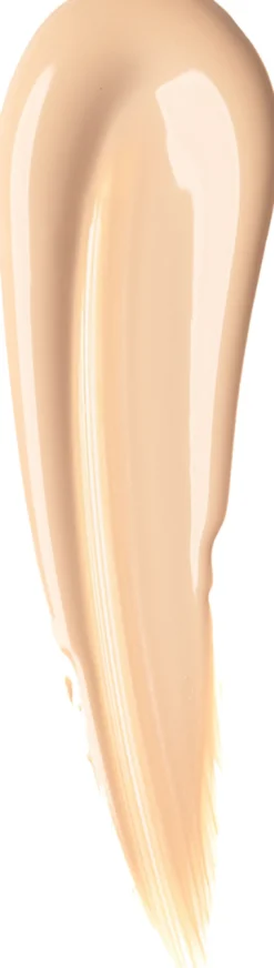 High Perfomrance Concealer
