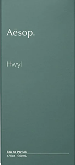 Hwyl