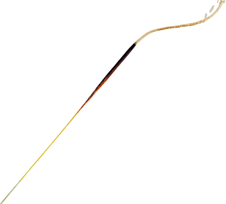 Incense
