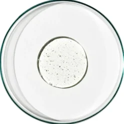Invigorate Hand Wash