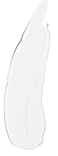 KB5TM Calming Gel Cleanser