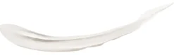 Lashbond