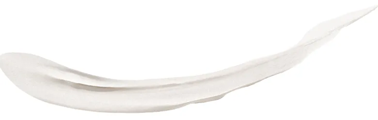 Lashbond