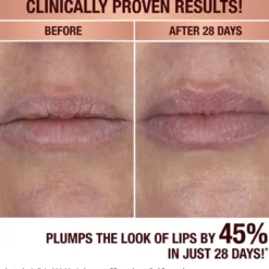 LIP MASK