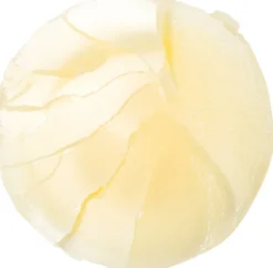 Lippe Balm