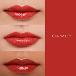 Lipstick Shine
