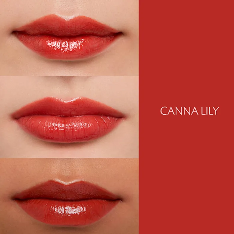 Lipstick Shine