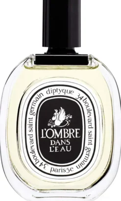 L'Ombre dans l'Eau