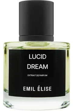 LUCID DREAM
