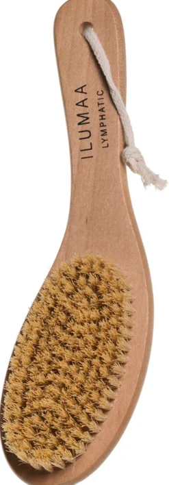 Lymphatic Body Brush