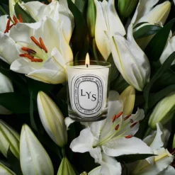 Lys Classic Candle