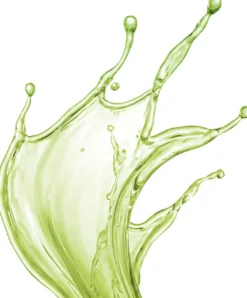 Matcha Mist Elixir