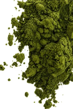 Matcha Routine Powder