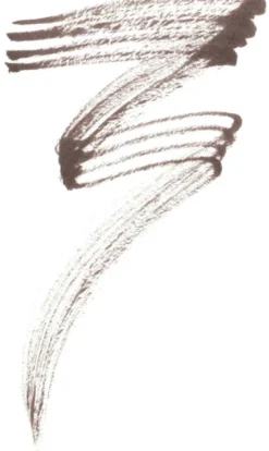 Micro Sculpting Brow
