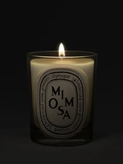 Mimosa Classic Candle