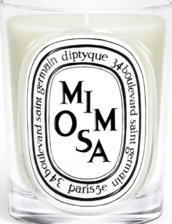 Mimosa Classic Candle