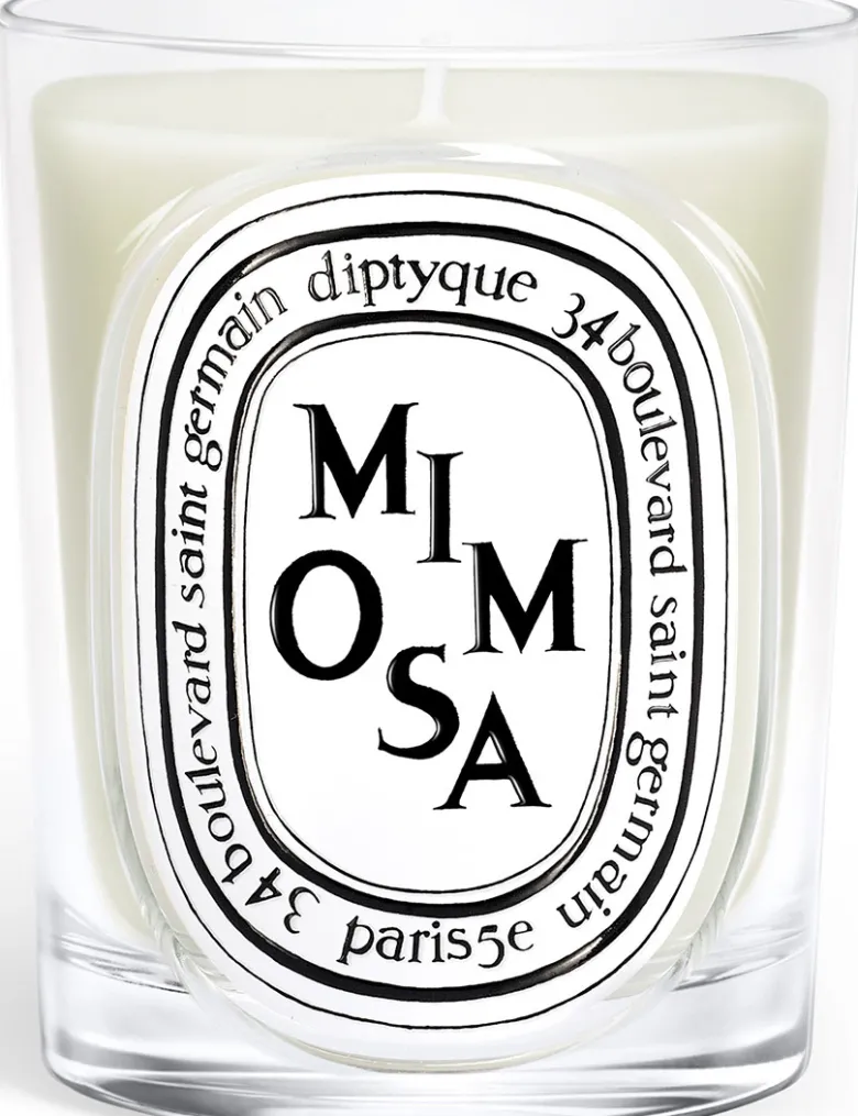 Mimosa Classic Candle