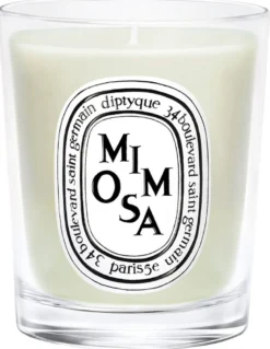 Mini Candle Mimosa