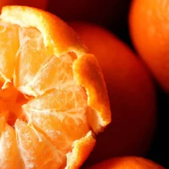 Neroli Nasimba