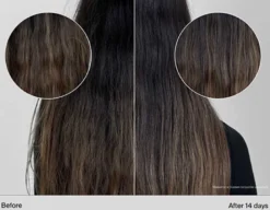 No Frizz Shampoo