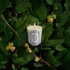Noisetier Classic Candle