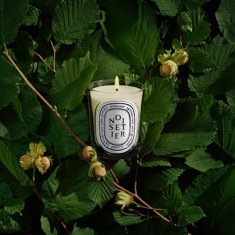 Noisetier Classic Candle