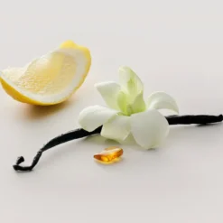 No.15 Vanille Infinie