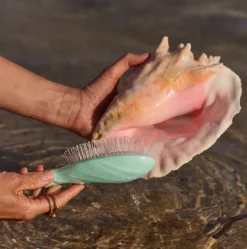 N.04 The Massaging Detangling Hairbrush THE MIRACLE Blue Lagoon