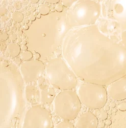 PALM WILD HAND WASH