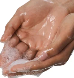 PALM WILD HAND WASH