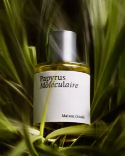 Papyrus Moléculaire