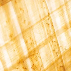 Papyrus Moléculaire