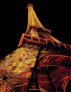 Paris Chic