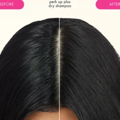 perk up plus extended clean dry shampoo