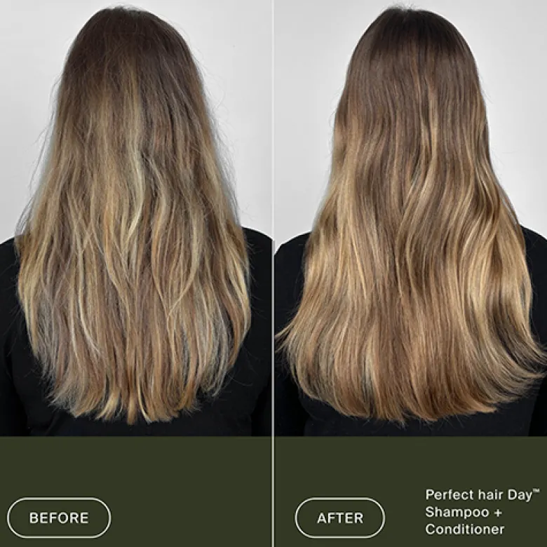 PhD Shampoo
