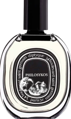 Philosykos