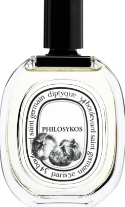 Philosykos