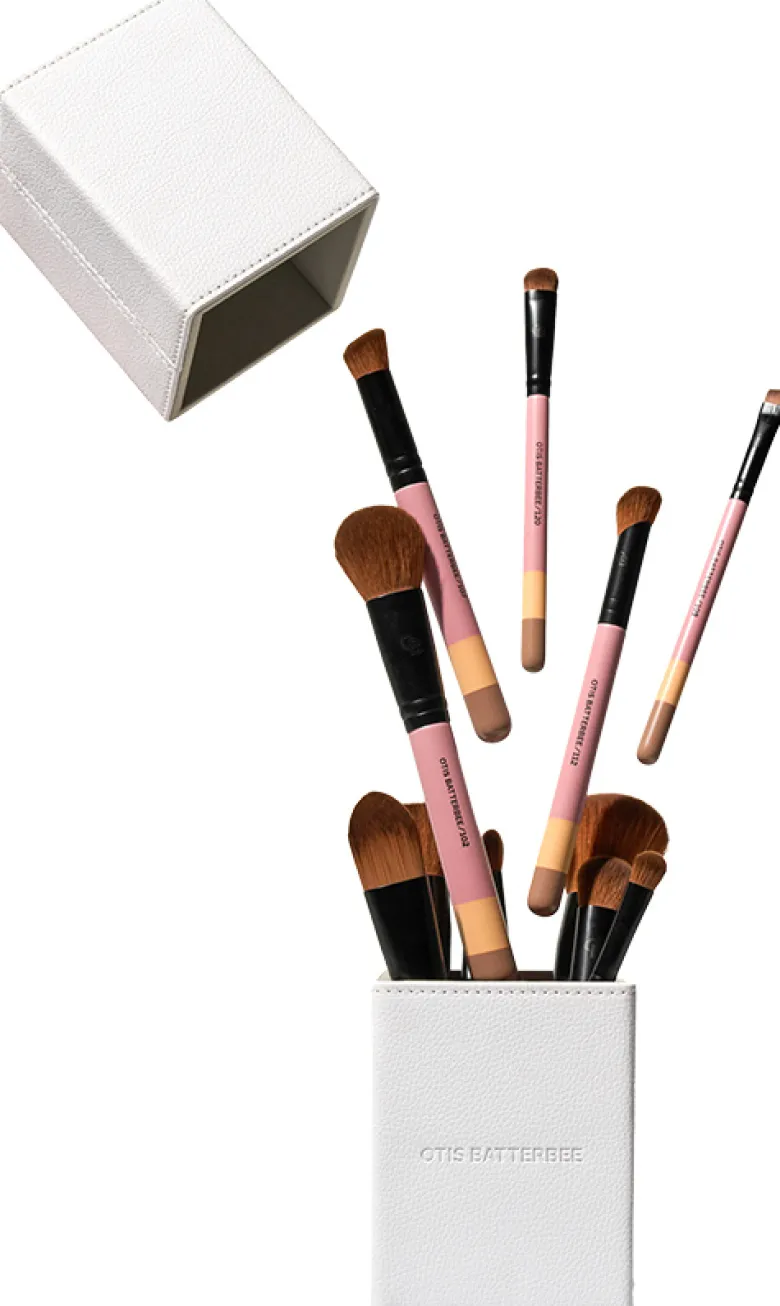 12 PIECE BRUSH SET