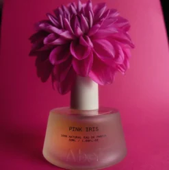 Pink Iris
