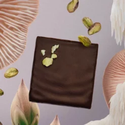 Pistachio & Lion's Mane nut butter chocolate box